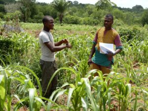 accompagnement des jeunes