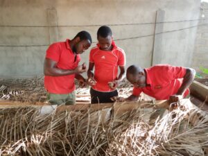développement de la cuniculture par l'ONG-BOUGE