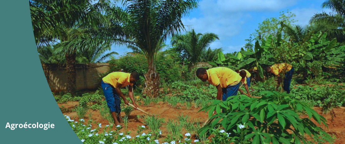 Agroécologie ONG-BOUGE