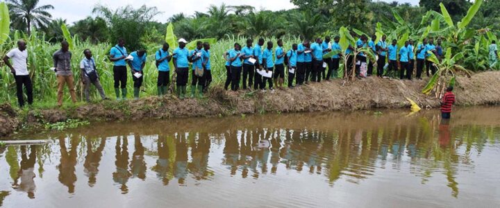 L’agroécologie au service de la bonne santé des communautés : L’ONG Bouge capacite plus de 200 jeunes agriculteurs dans les départements du Plateau et du Zou. L’agroécologie au service de la bonne santé des communautés : L’ONG Bouge capacite plus de 200 jeunes agriculteurs dans les départements du Plateau et du Zou.