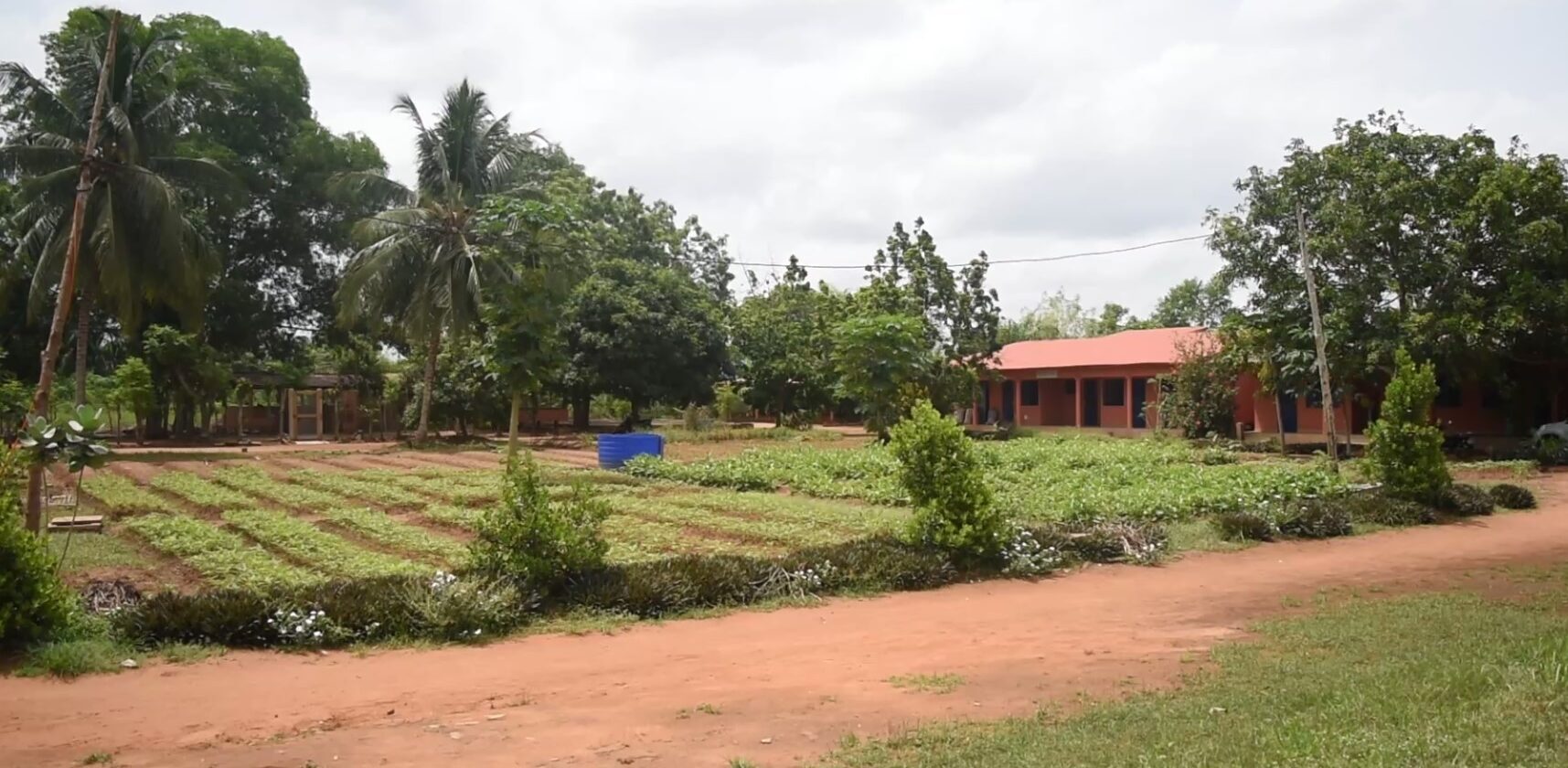 Espace vert aménagé ONG BOUGE