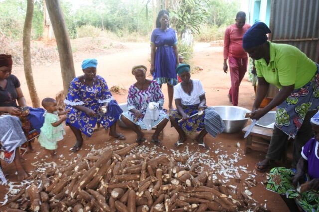 Bouge formation manioc