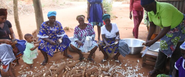 Formation professionnelle filière manioc