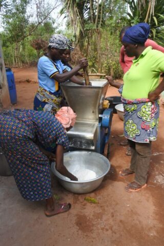 Bouge formation manioc